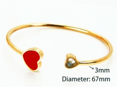 Popular Bangle of Stainless Steel 316L-HY93B0303HNR