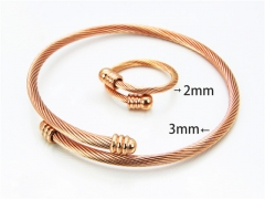 Wholesale Bangle (Steel Wire)-HY38S0179HIU