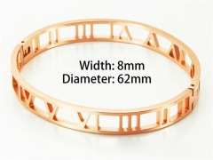 Stainless Steel 316L Bangle (Popular)-HY59B0846HIA