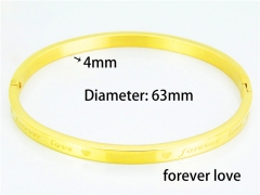 Stainless Steel 316L Bangle (Popular)-HY42B0101OL