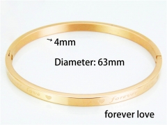 Stainless Steel 316L Bangle (Popular)-HY42B0100HTA