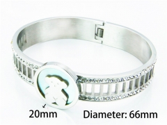 HY Wholesale Bangle (Crystal)-HY64B0312ILZ