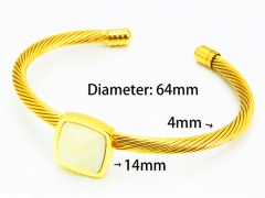 HY Wholesale Bangle (Steel Wire)-HY64B1233HIQ