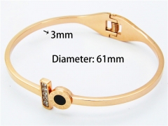 HY Wholesale Bangle (Crystal)-HY14B0613HNG