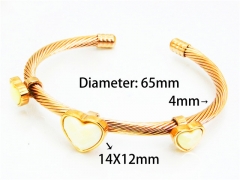 HY Wholesale Bangle (Steel Wire)-HY64B1259HLZ