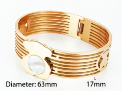 HY Wholesale Bangle (Natural shell)-HY64B0995IOC