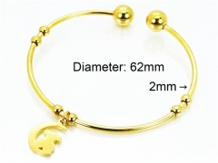 HY Jewelry Wholesale Stainless Steel 316L Bangle (PDA Style)-HY89B0010JLA