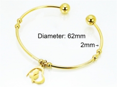 HY Jewelry Wholesale Stainless Steel 316L Bangle (PDA Style)-HY89B0005JLB