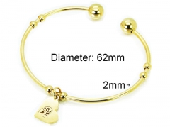 HY Jewelry Wholesale Stainless Steel 316L Bangle (PDA Style)-HY58B0392KU