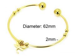 HY Jewelry Wholesale Stainless Steel 316L Bangle (PDA Style)-HY58B0381KA