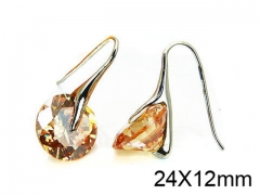 HY Stainless Steel 316L Drops Earrings-HY30E1468HID