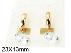 HY Stainless Steel 316L Drops Earrings-HY25E0541LE