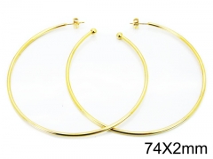 HY Wholesale Stainless Steel 316L Cheap Earrings-HY08E0101JD