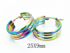 HY Wholesale Stainless Steel 316L Cheap Earrings-HY58E1243KF