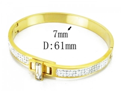 HY Wholesale Stainless Steel 316L Bangle(Crystal)-HY19B0014IIA