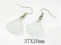 HY Wholesale 316L Stainless Steel Earrings-HY81E0053HHA