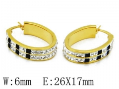 HY Stainless Steel 316L Crystal Hoop Earrings-HY06E1429H10