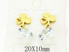 HY Wholesale 316L Stainless Steel Earrings-HY25E0620JC