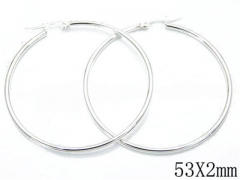 HY Wholesale Stainless Steel Plating Silver Earrings-HY70E0465KZ