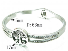 HY Stainless Steel 316L Bangle-HYC80B0491HJQ