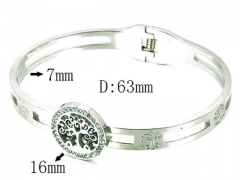 HY Stainless Steel 316L Bangle-HYC80B0494HIU