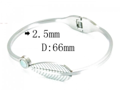 HY Stainless Steel 316L Bangle-HYC80B0676HUU