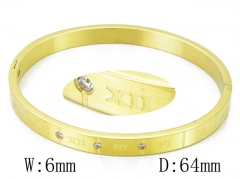 HY Wholesale Stainless Steel 316L Bangle(Crystal)-HY42B0165HJW