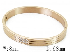 HY Wholesale Stainless Steel 316L Bangle(Crystal)-HY42B0187HOL