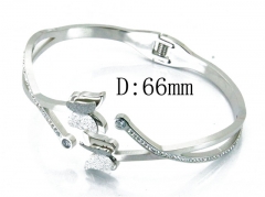 HY Wholesale Stainless Steel 316L Bangle(Crystal)-HY80B0975HJL