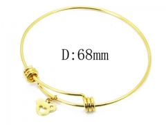 HY Wholesale 316L Stainless Steel Bangle-HY91B0344OQ