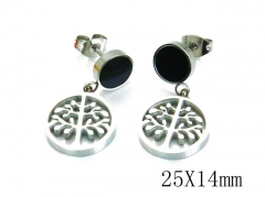 HY Wholesale Stainless Steel 316L Earrings-HYC80E0454LA