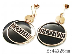 HY Wholesale Stainless Steel 316L Earrings-HYC80E0318HAA