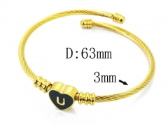 HY Stainless Steel 316L Bangle (Steel Wire)-HY12B0451OLU