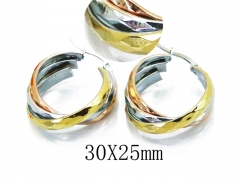 HY Stainless Steel Twisted Earrings-HY58E1402NR