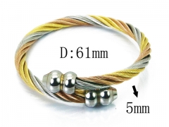 HY Stainless Steel 316L Bangle (Steel Wire)-HY38B0600HKR