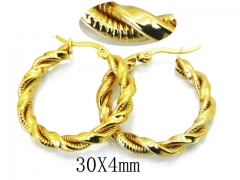 HY Stainless Steel Twisted Earrings-HY64E0398MV