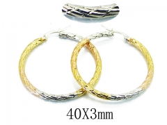 HY Stainless Steel Twisted Earrings-HY58E1442LW