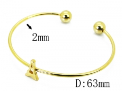 HY Wholesale 316L Stainless Steel Popular Bangle-HY58B0508KLA