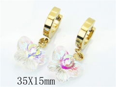 HY Wholesale Stainless Steel Jewelry Earrings-HY67E0372JA