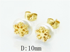 HY Wholesale Stainless Steel Jewelry Studs Earrings-HY67E0385HL