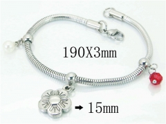 HY Wholesale 316L Stainless Steel Charm Bracelets-HY62B0418NR