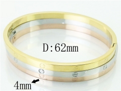 HY Wholesale Stainless Steel 316L Fashion Bangle-HY14B0241IWW