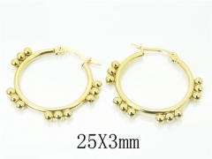 HY Wholesale 316L Stainless Steel Fashion Jewelry Earrings-HY58E1632KW