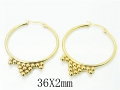 HY Wholesale 316L Stainless Steel Fashion Jewelry Earrings-HY58E1633KE