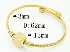 HY Wholesale Stainless Steel 316L Fashion Bangle-HY58B0586NC