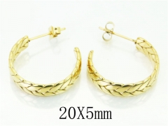 HY Wholesale 316L Stainless Steel Popular Jewelry Earrings-HY06E1716PW