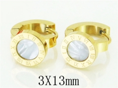 HY Wholesale 316L Stainless Steel Popular Jewelry Earrings-HY32E0173ML