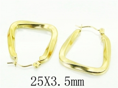 HY Wholesale 316L Stainless Steel Popular Jewelry Earrings-HY70E0440LW