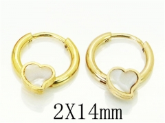 HY Wholesale 316L Stainless Steel Popular Jewelry Earrings-HY60E0659JJA