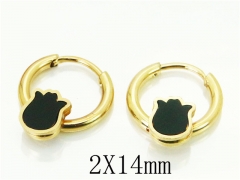 HY Wholesale 316L Stainless Steel Popular Jewelry Earrings-HY60E0651JJX